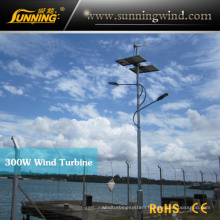 300W Wind Soalr Street Light System Power Supply Small Wind Turbine